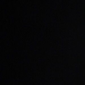 Meet your Posher, Amelia